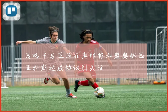 马略卡后卫马菲奥即将加盟奥林匹亚科斯达成协议引关注