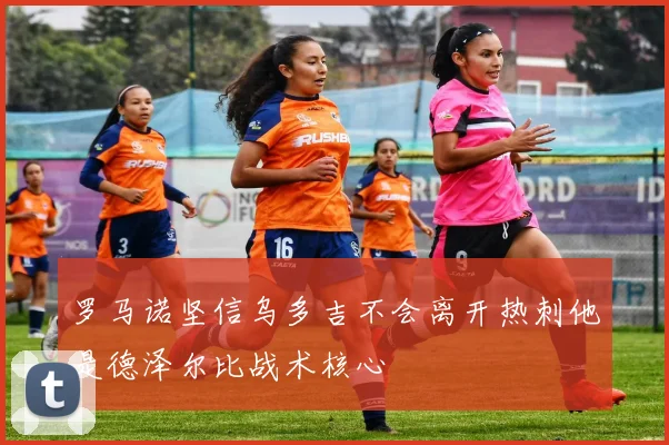 罗马诺坚信乌多吉不会离开热刺他是德泽尔比战术核心