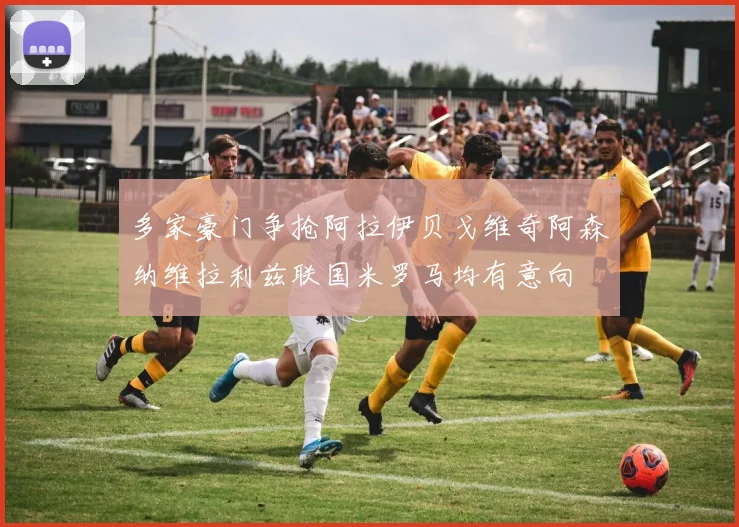 多家豪门争抢阿拉伊贝戈维奇阿森纳维拉利兹联国米罗马均有意向