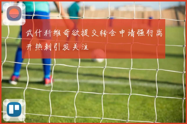 武什科维奇欲提交转会申请强行离开热刺引发关注